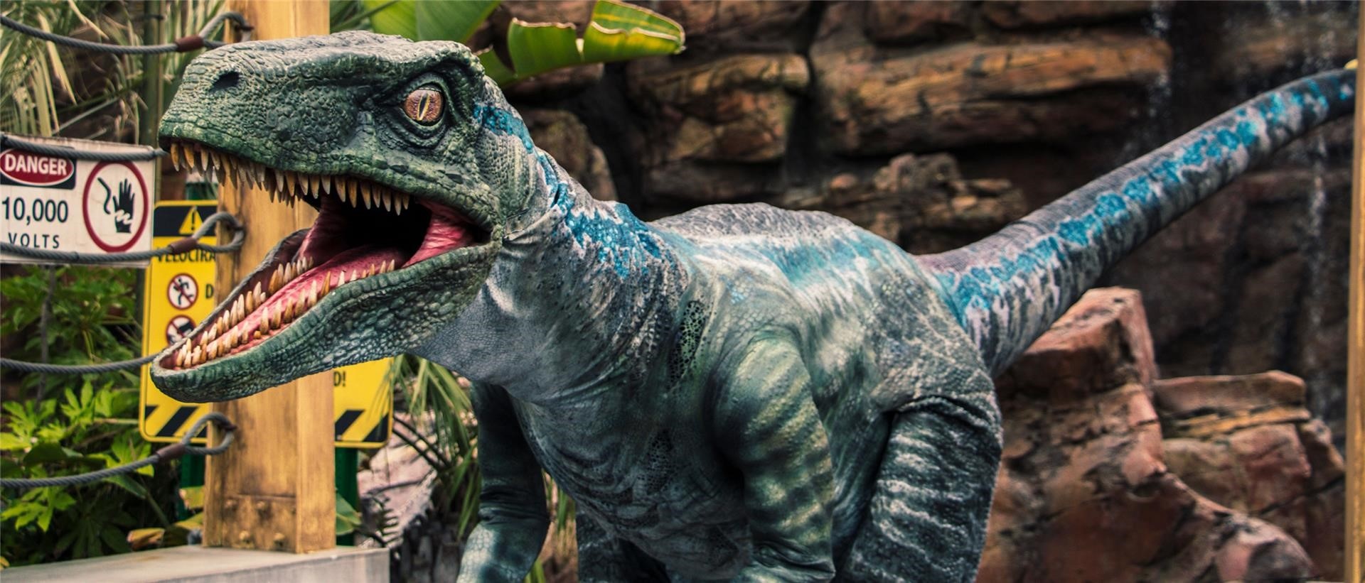 Blue, the Raptor from Jurassic World