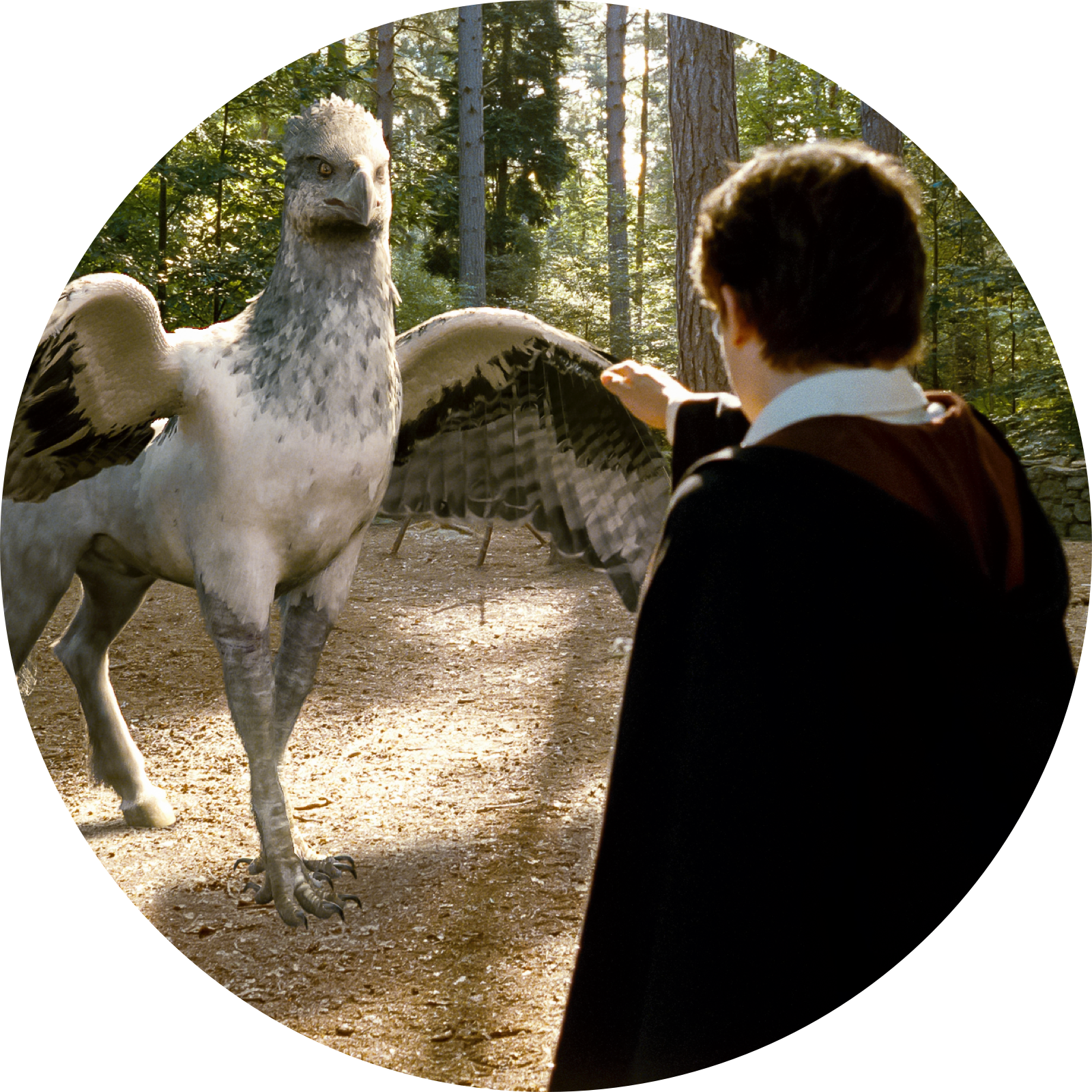 Flight of the Hippogriff Fast Fact Image 2 showing a still from one of the Harry Potter movies in which Harry Potter met a Hippogriff.