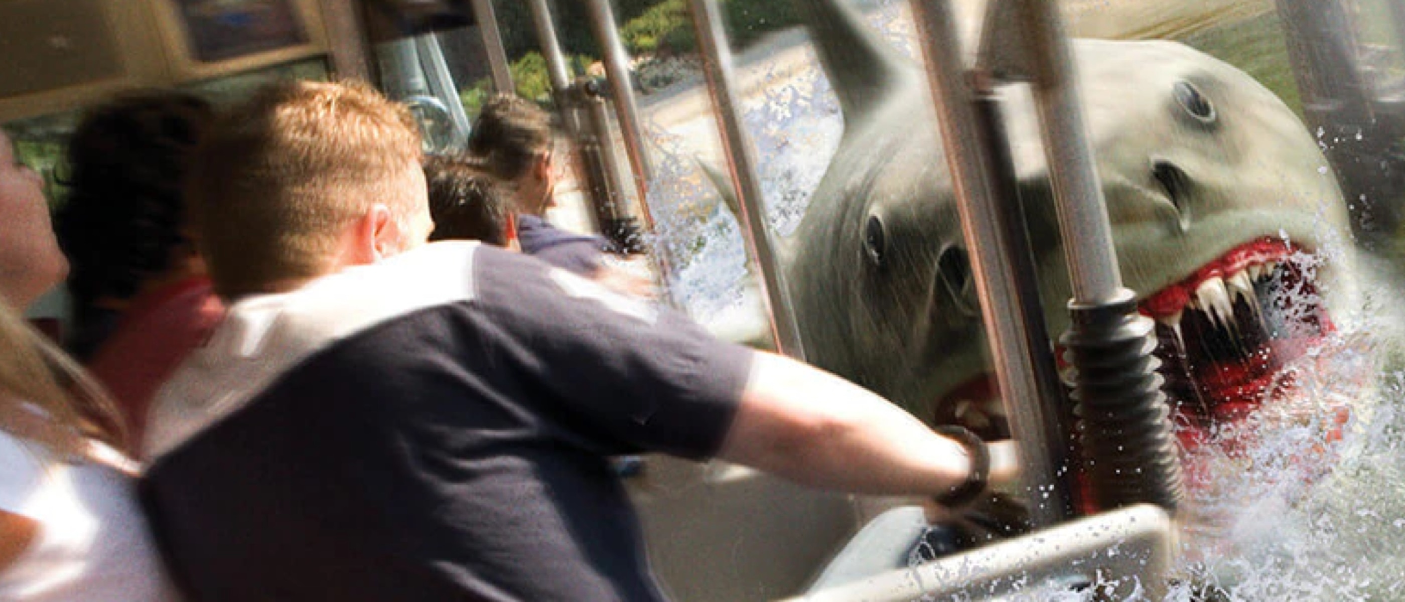 Shark attacks the tour boat in the water.
