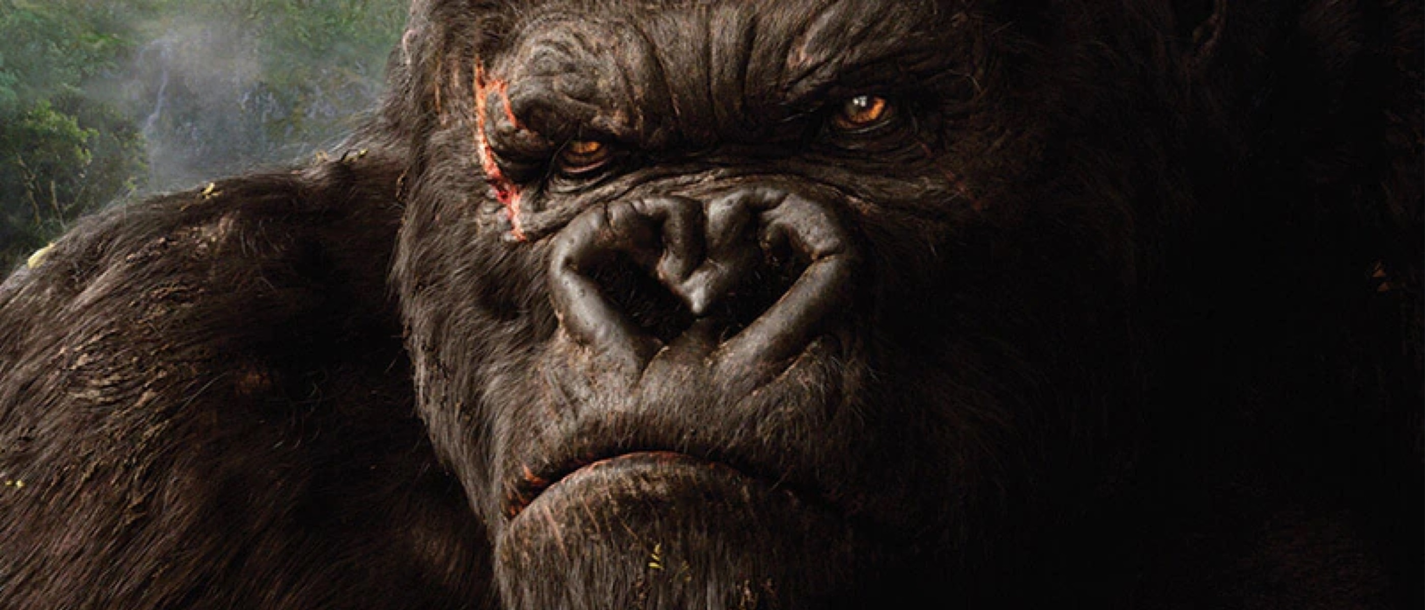 Close up of an angry King Kong