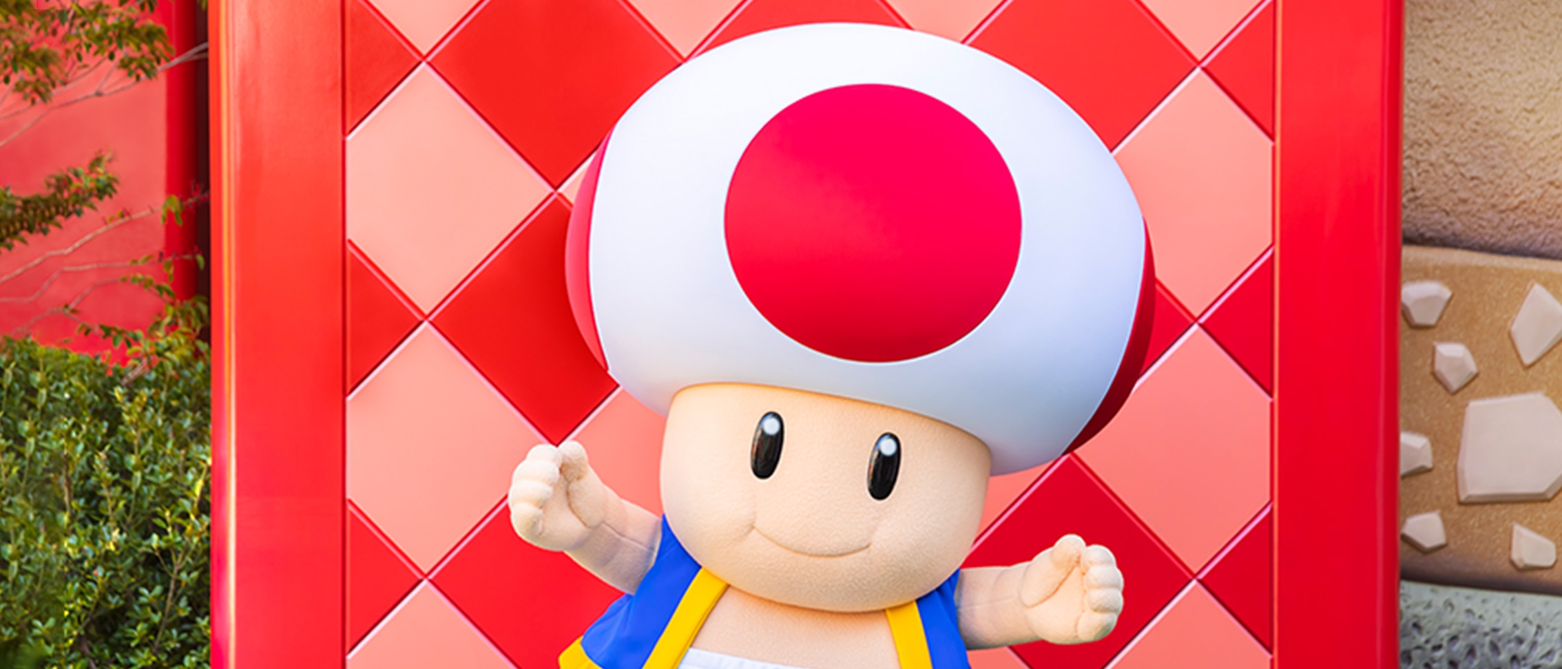 Toad at SUPER NINTENDO WORLD™ ready for a meet-and-greet with guests.