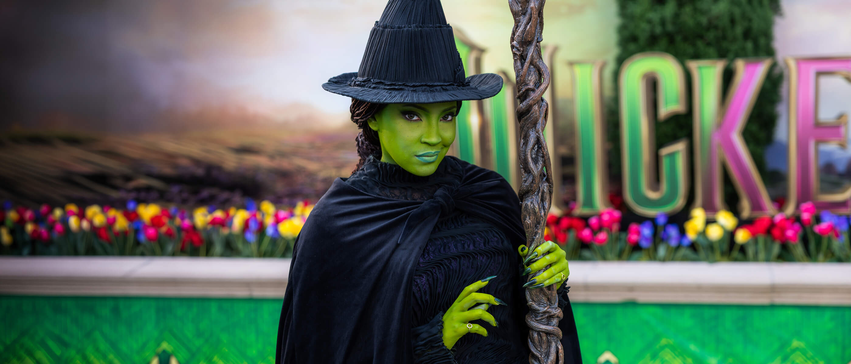 Meet Elphaba