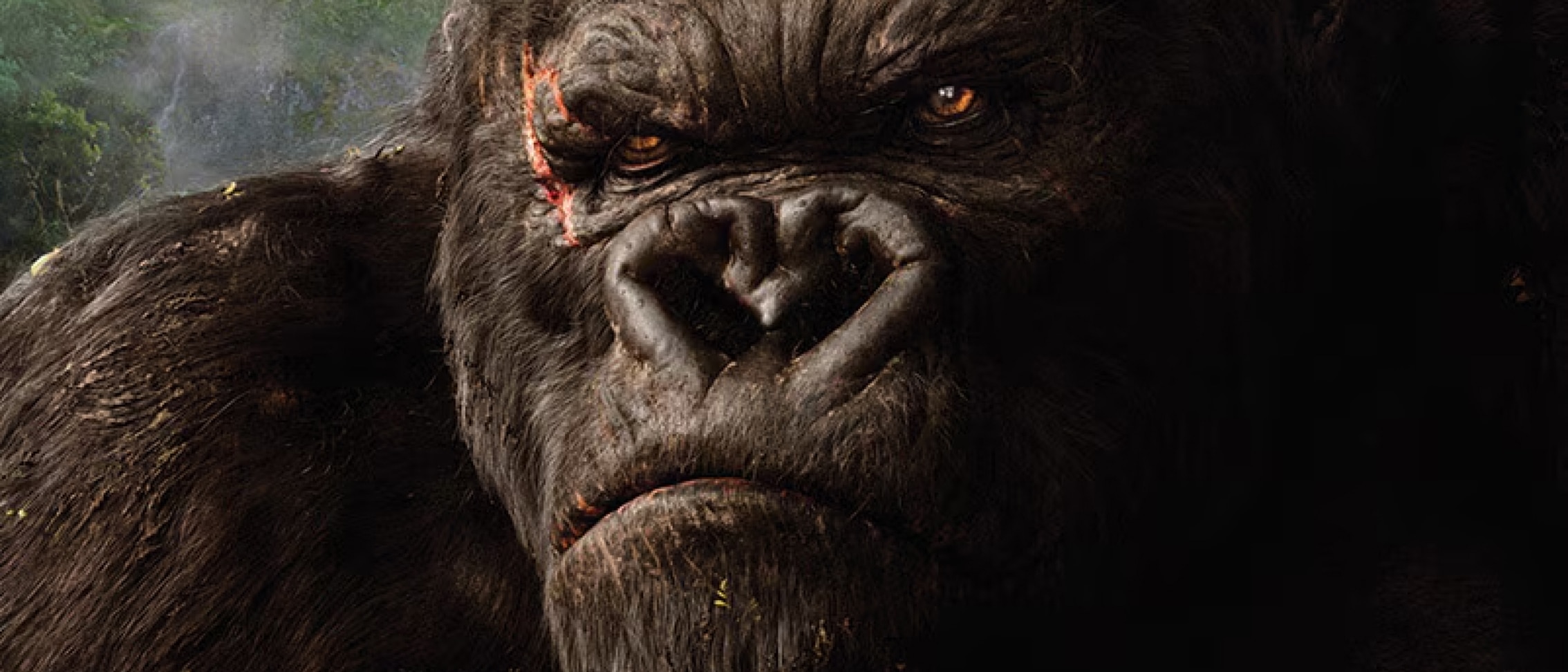 King Kong up close.