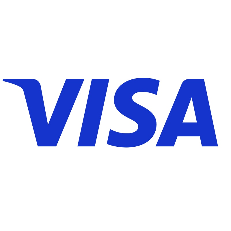 The blue Visa logo.