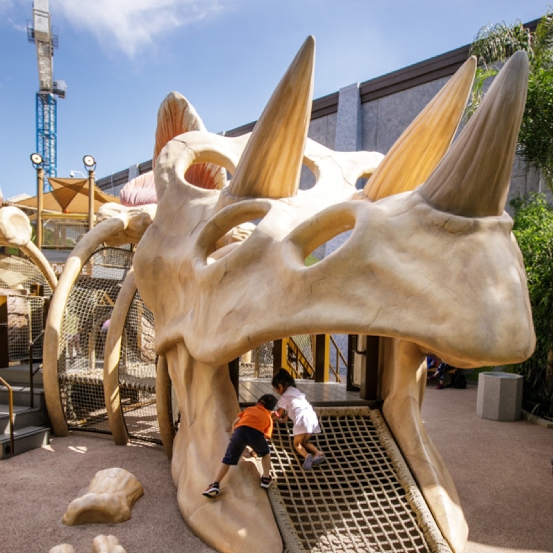 Dinoplay