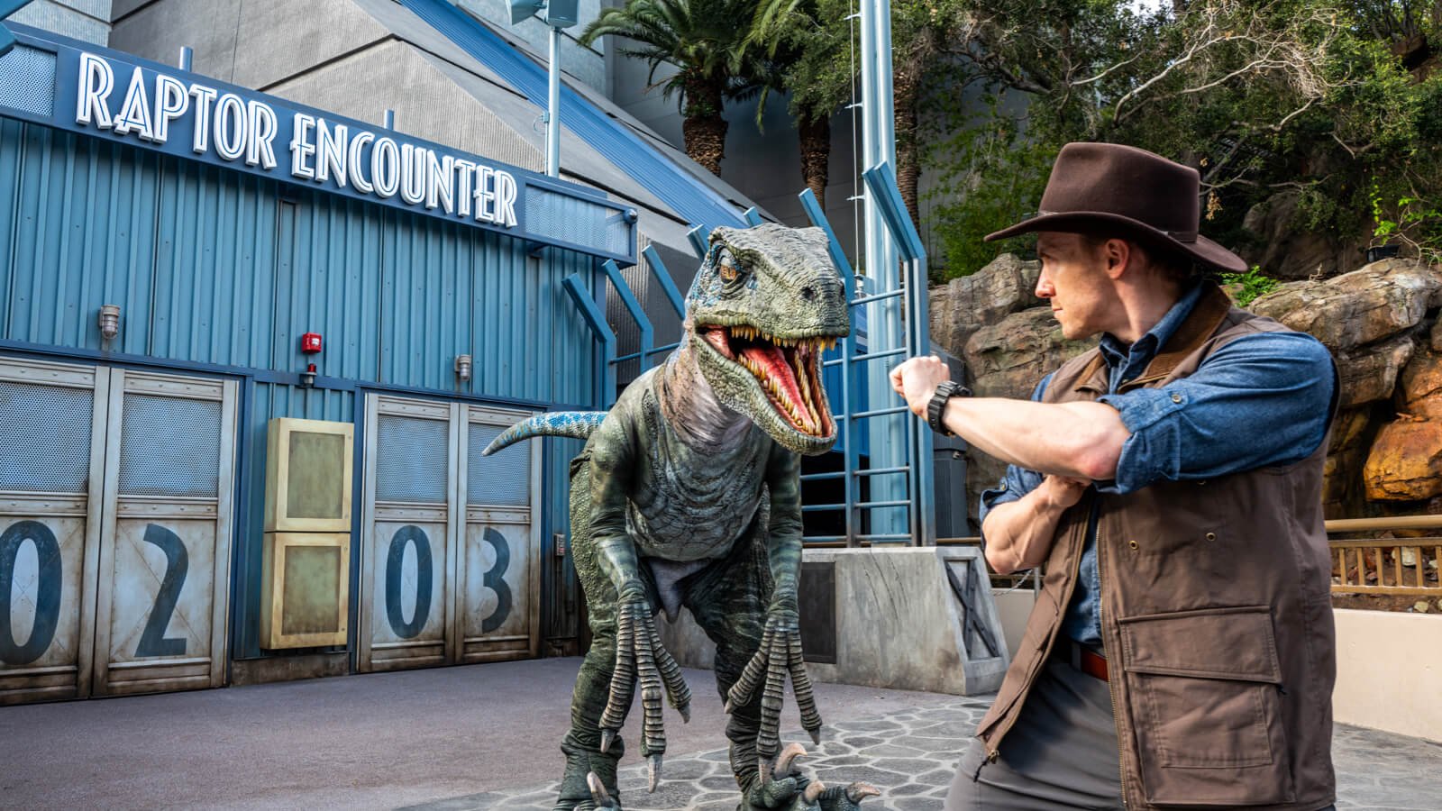 Raptor Encounter