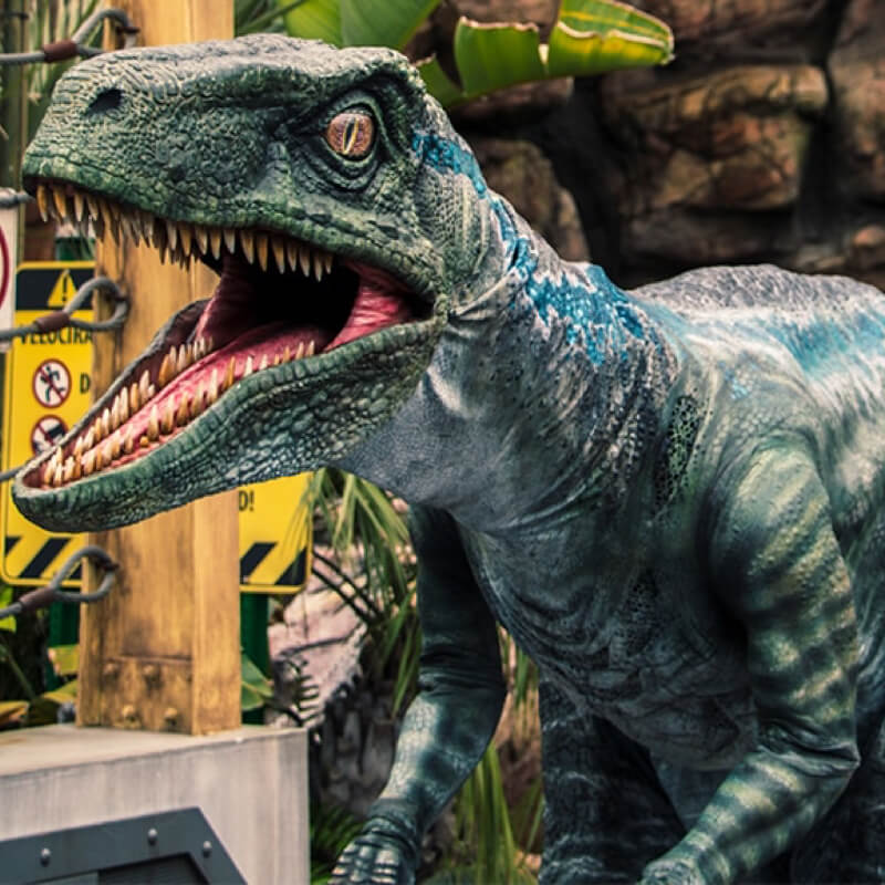 Blue the raptor